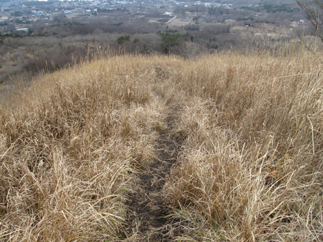 20181205hike (274)